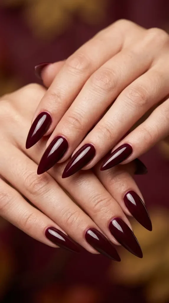 Burgundy Long Stiletto Nails