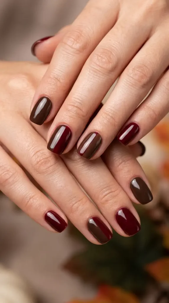 Chocolate Brown & Burgundy Mix Nails