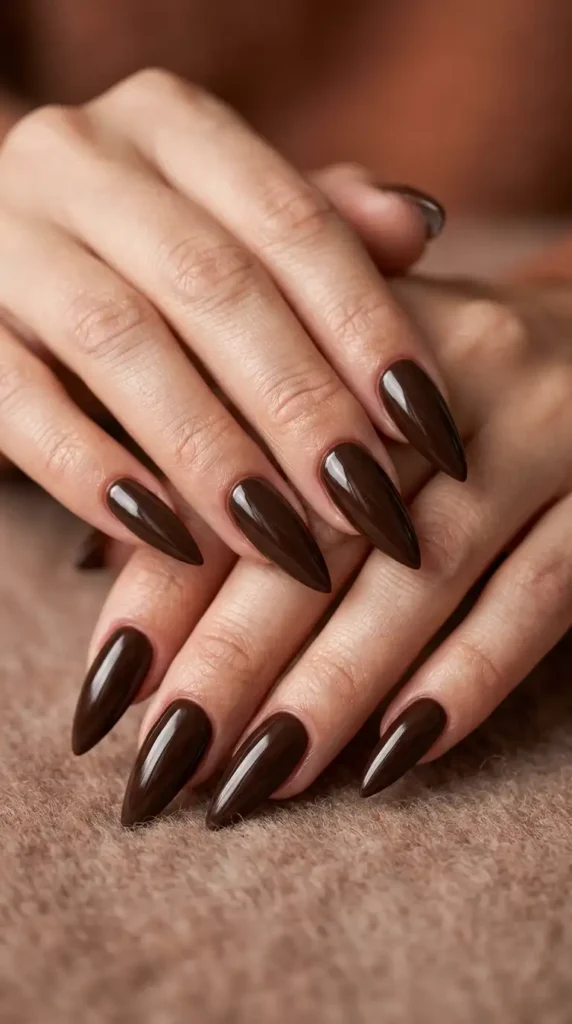 Dark Chocolate Stiletto Nails