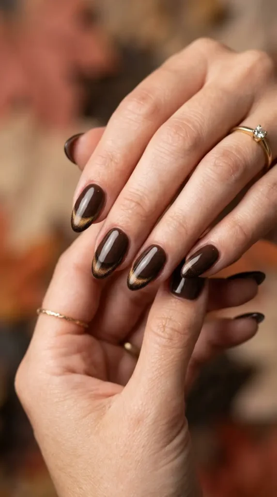 Deep Coffee Cat Eye French Nails