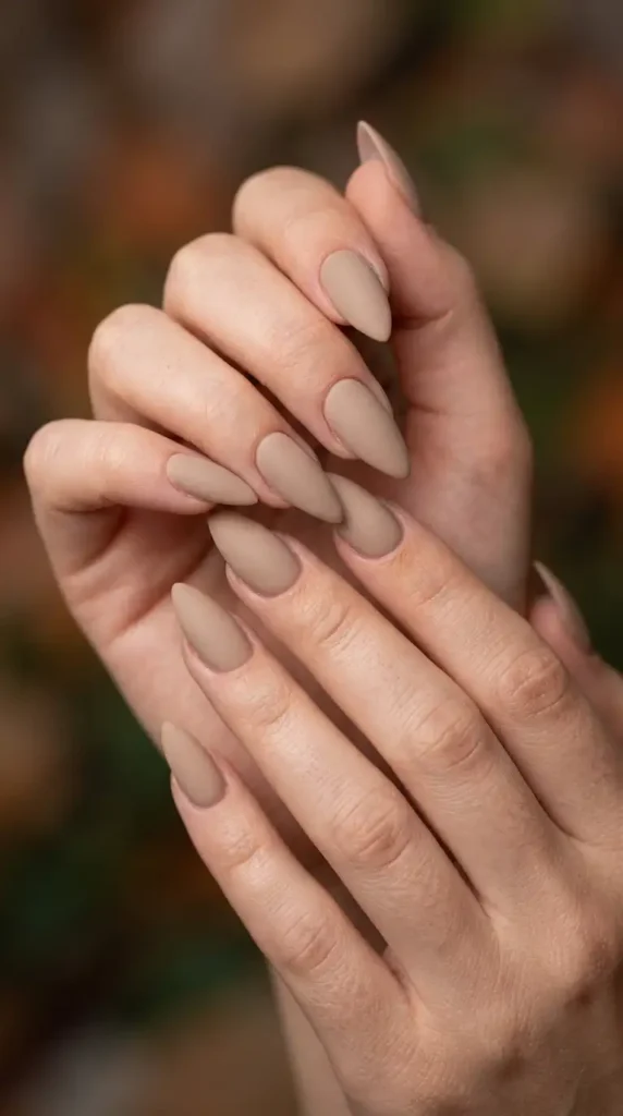 Soft Cashmere Matte Stiletto Nails