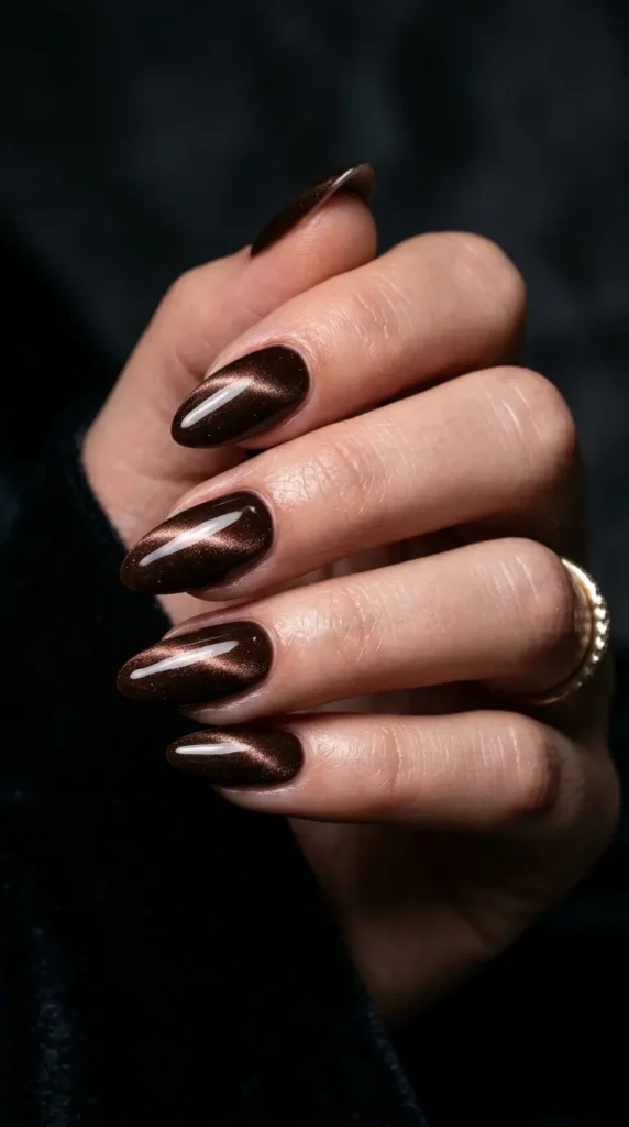 Dark Chocolate Cat Eye Nails